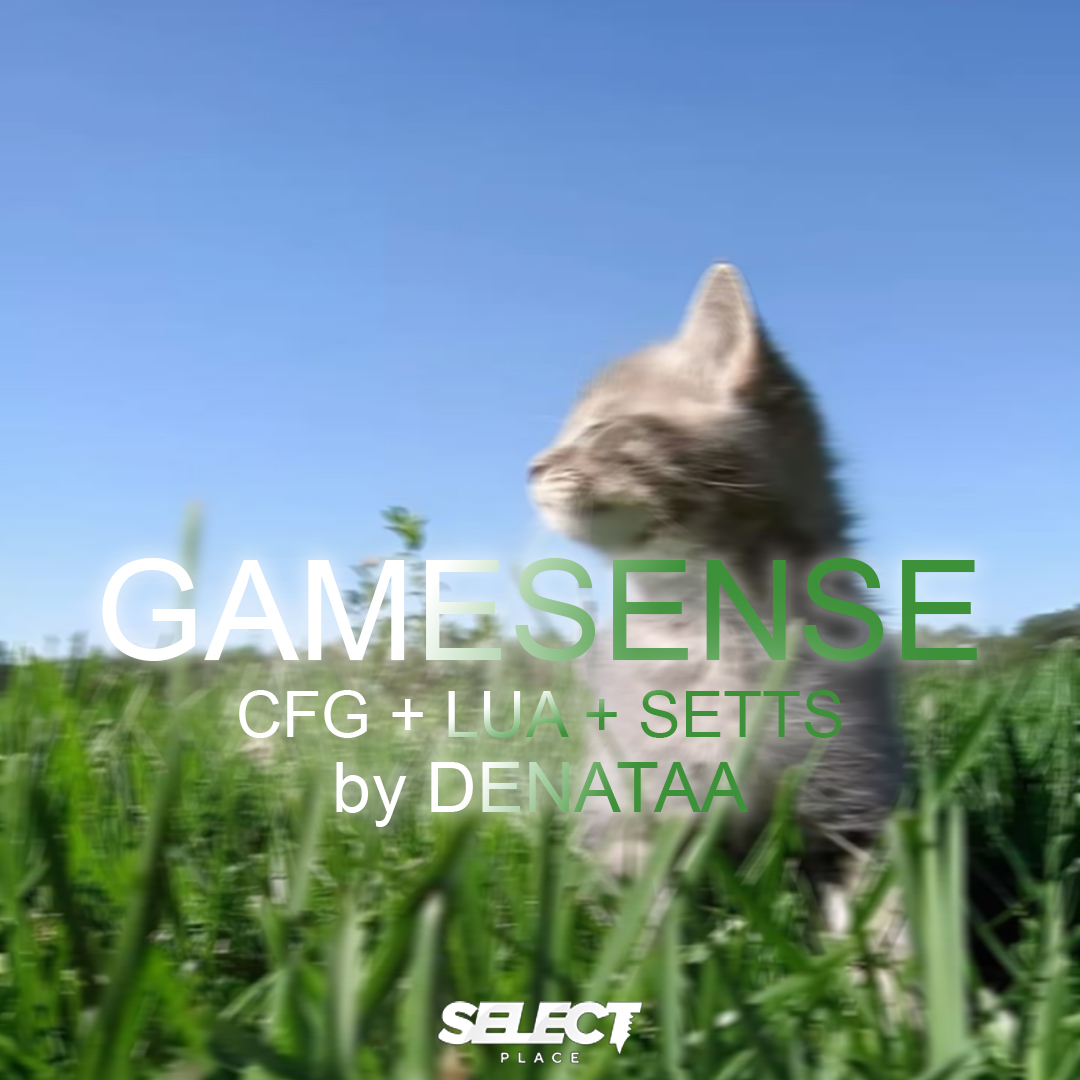 CFG GS + LUA + SETTS