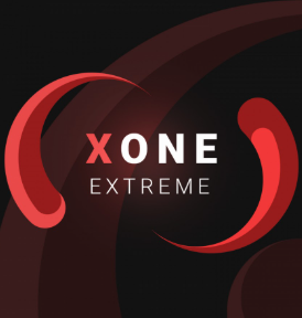 9 месяцев XONE