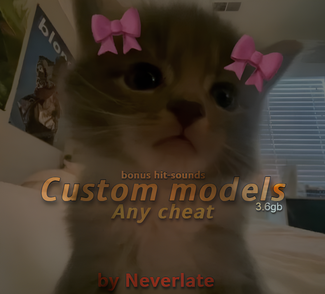 💎 CUSTOM MODELS под любой чит 💎